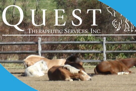 Quest Therapeutic Quest Therapeutic Services | Quest For The Best