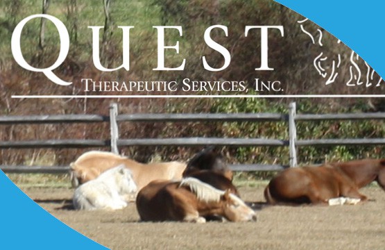 Quest Therapeutic Services | Quest For The Best